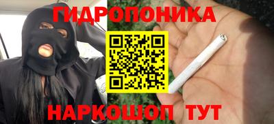 прущие крисы Краснознаменск