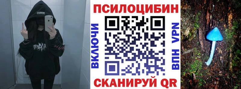 цены   Ессентуки  Псилоцибиновые грибы Cubensis 