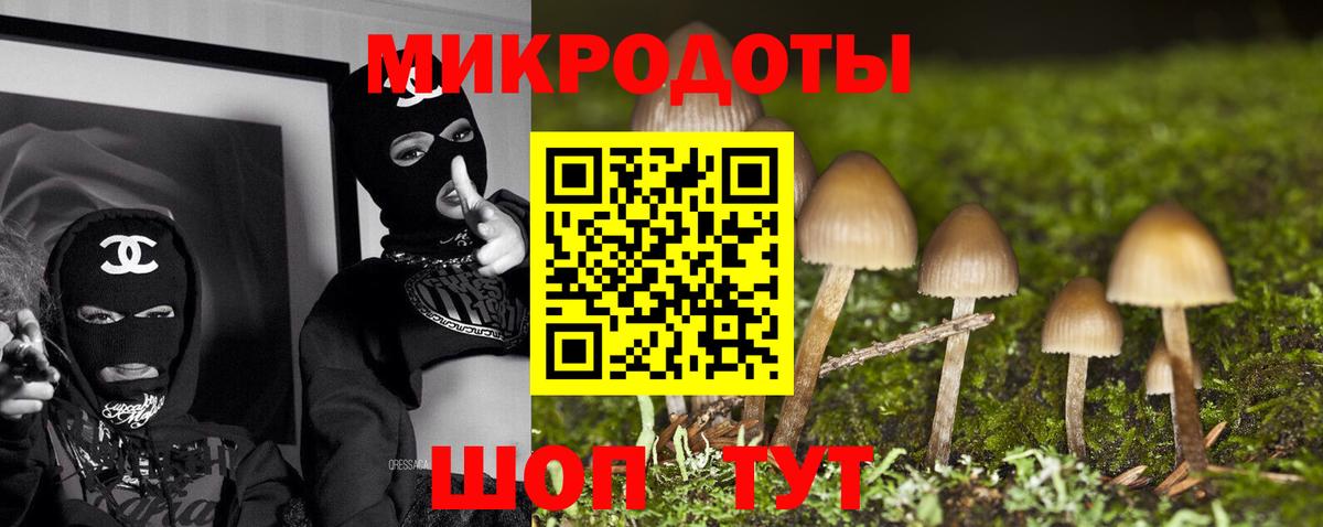 Галлюциногенные грибы Psilocybine cubensis  Вход с VPN  дарнет шоп  Ессентуки 